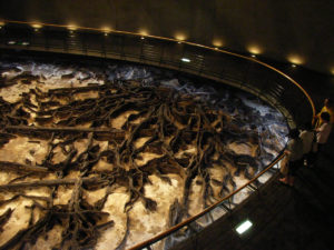 黒いうねうねは針葉樹の幹や根など：仙台市にある「地底の森ミュージアム」に行ってきました