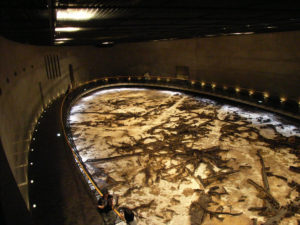 思いのほか広い：仙台市にある「地底の森ミュージアム」に行ってきました