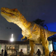 福井県立恐竜博物館に行く