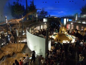 テーマパークといった感じ：福井県立恐竜博物館に行く。