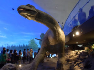 迫力のある展示：福井県立恐竜博物館に行く。