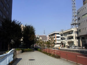 東京スカイツリーが見えた：東京都現代美術館で『ゼロ年代のベルリン』を観る