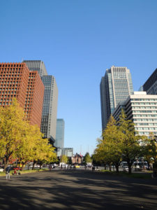 行幸（みゆき）通り：東京漫歩 －2012年11月3日－