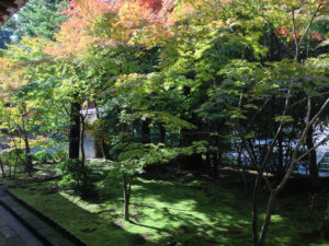 方丈の西の庭：京都、龍安寺
