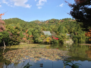 鏡容池（きょうようち）：京都、龍安寺