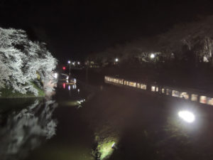 JR左沢線がお堀の側を走る：山形市、霞城公園の夜桜　2014年