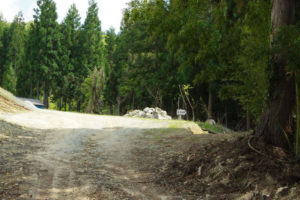 この辺りで道をロスト