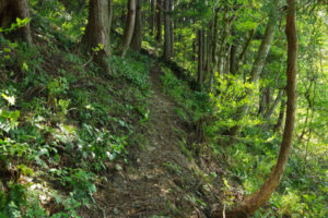 細い急な道が続く