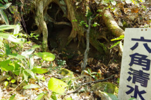 湿った程度の清水でした