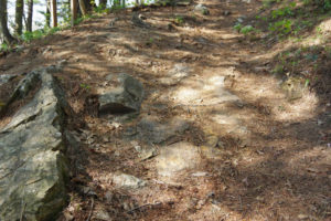 下山してすぐのところにあった滑石（ぬめりいし）