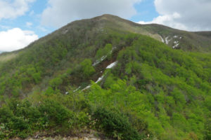 天童高原から北面白山に登る ー 2014年5月