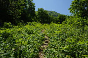 ゲレンデを過ぎたばかりで体力を消耗