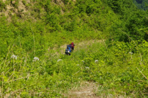 走るように下っていった高校生男子