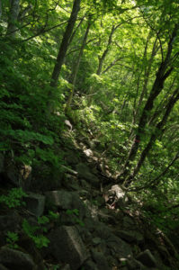 直登していくような感じ