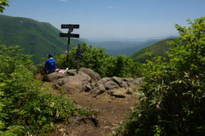 頂上はこんな感じ