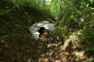 下りの途中では枯れた小さな沢を三つ、四つ越える