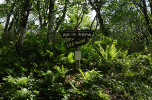 権現様峠の分岐、面白山高原駅を目指す