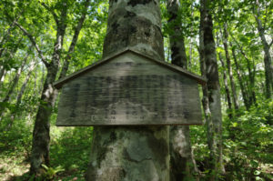 面白山大権現の石碑の側にあった立て札