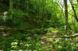 トラロープのない難所をいくつか越えて沢の畔で15分ほど休憩