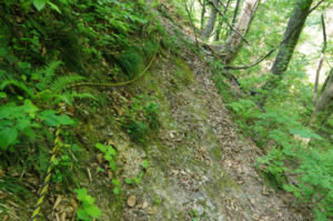 本当に怖いところは写真を撮る余裕がない…