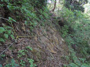 トラロープが設置してあるのは2ヶ所（ないところが危ない）