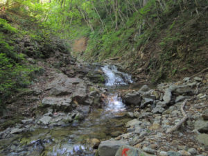 深山幽谷といった雰囲気