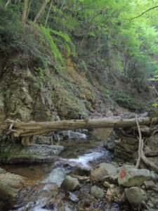 この沢の両脇の壁をトラバースしていく