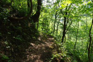 ここまでくれば、もう大丈夫