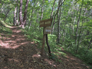 やっと人心地ついた…