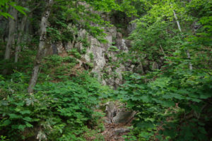 前滝コースを目指して出くわした岩壁：蔵王の瀧山（りゅうざん）に登ろうとするが…。