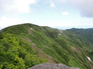 左の峰が山頂。中央付近が奥の院：葉山に登る － 寒河江市の白岩より　2014年7月