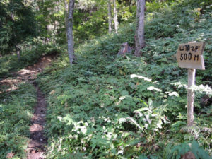 登山道は整備されている：上山市の三吉山に登る － 2014年秋