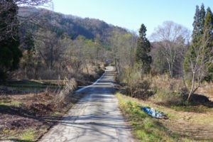 登山口の入り口：県民の森から白鷹山に登る － 2014年11月