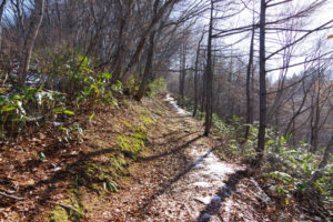 二組の登山者とすれ違う：県民の森から白鷹山に登る － 2014年11月