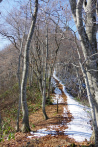 稜線を行く：県民の森から白鷹山に登る － 2014年11月