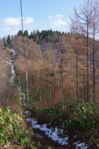 来た道を下って登る：県民の森から白鷹山に登る － 2014年11月