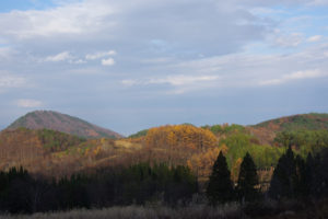 もうすぐ駐車場に到着：県民の森から白鷹山に登る － 2014年11月