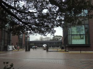小雨がぱらつく東京都美術館：東京都美術館で『新印象派 － 光と色のドラマ』展を観る