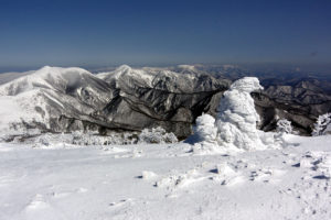 一つだけあった小さな樹氷：蔵王連峰（北蔵王）のカケスガ峰に登る ー 2015年3月