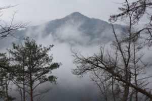 南に見える鷹取山：富神山を登る － 2016年1月3日