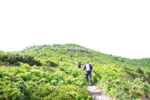 杉ヶ峰の手前、前山に向かう：南蔵王トレッキング（刈田峠登山口～屏風岳）－ 2016年6月