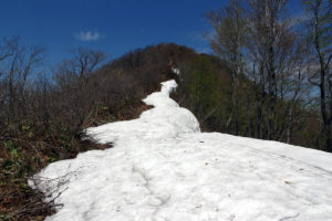 村山市の甑岳：尾根沿いに雪渓が続く。