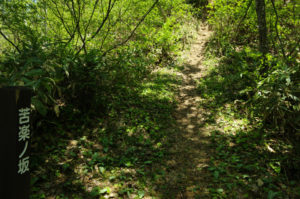 アップダウンが続く：村山市の甑岳（こしきだけ）