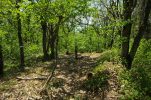ハチカ沢・岩神コース分岐：村山市の甑岳（こしきだけ）