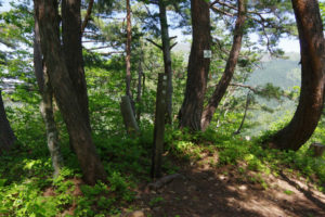 岩神山山頂：村山市の甑岳（こしきだけ）