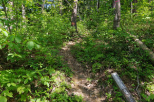 岩神コースの登山道口：村山市の甑岳（こしきだけ）