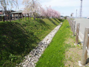水堀：山形市の長谷堂城跡公園を歩く － 2018年4月