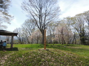 やまがた県百名山：山形市の長谷堂城跡公園を歩く － 2018年4月