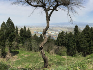 山頂から見下ろす山形市内：山形市の長谷堂城跡公園を歩く － 2018年4月