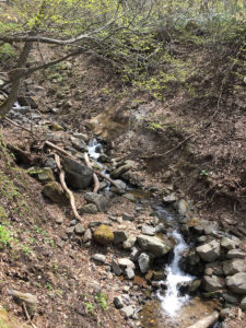 瀧山川源流：山形市の瀧山を登る（おまけにオオヤマザクラ） － 2018年春